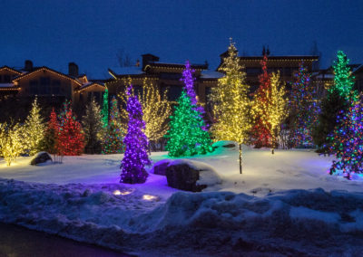 Holiday Tree Lighting