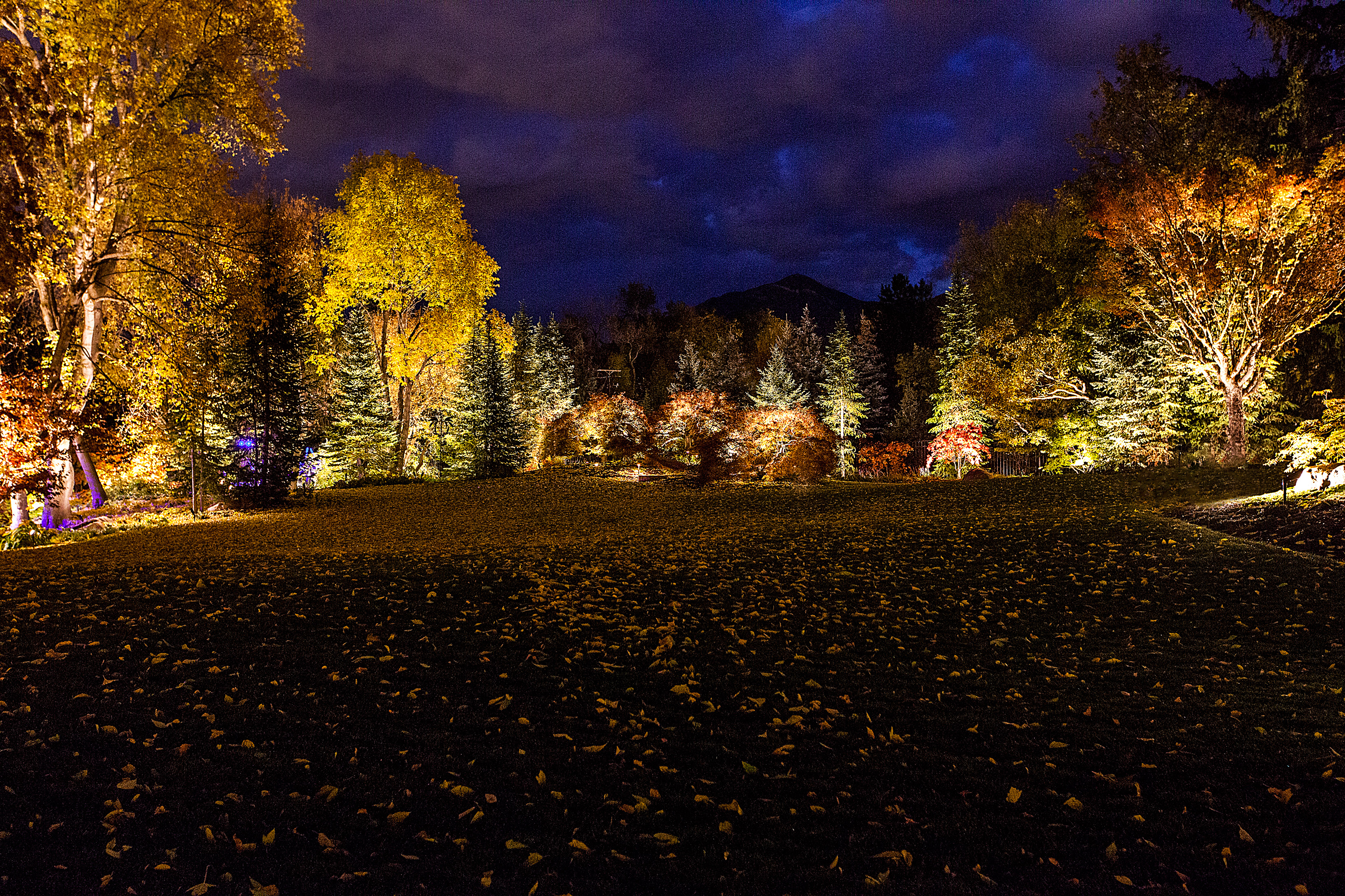 Night Vision Lighting & Electric