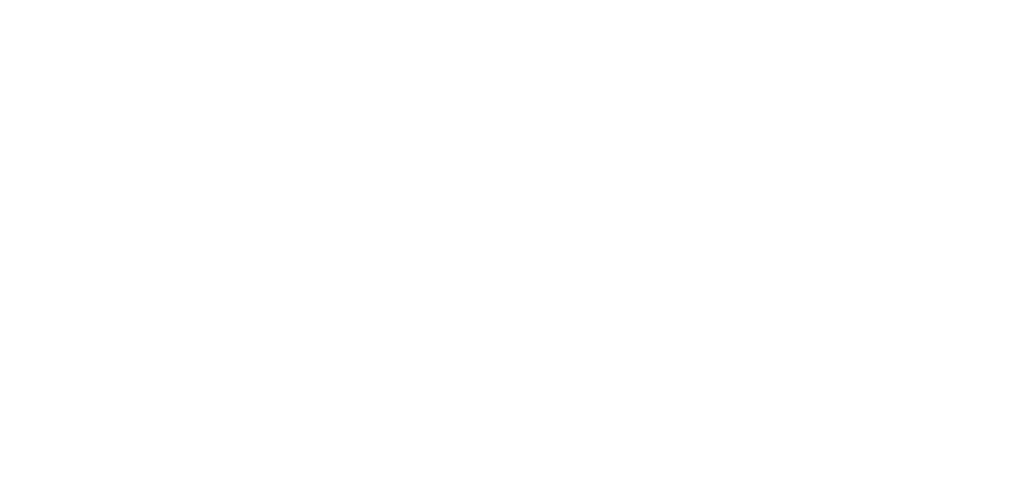Night Vision lighting & electric Brand Logo