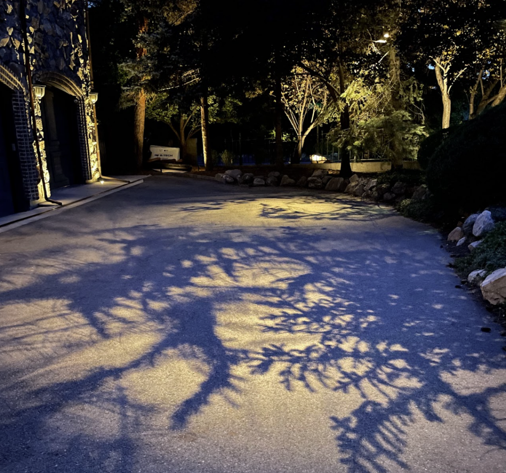 downlighting that creates shadows from tree branches. Creates a moon lighting effect