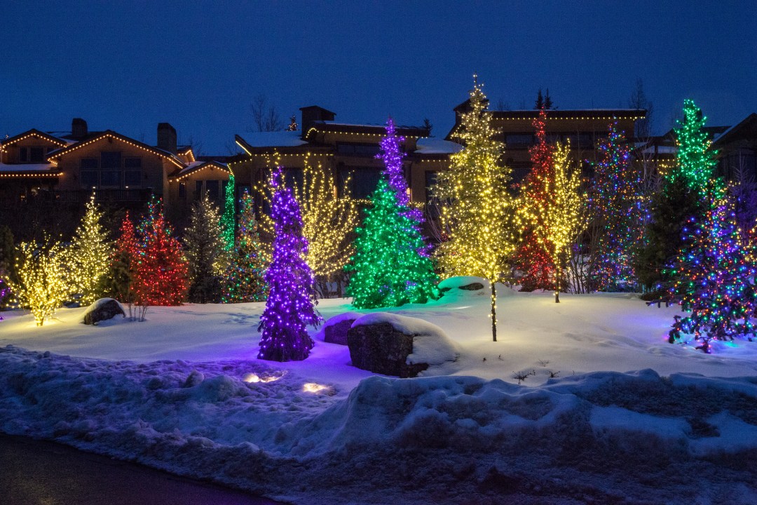 Vibrant trees aglow with lights in a snowy landscape, showcasing Night Vision Lighting & Electric's work.