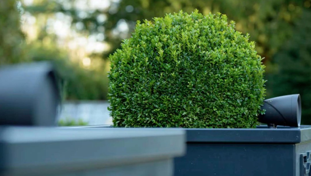 Adjustable mounting with pivot locks for optimal sound